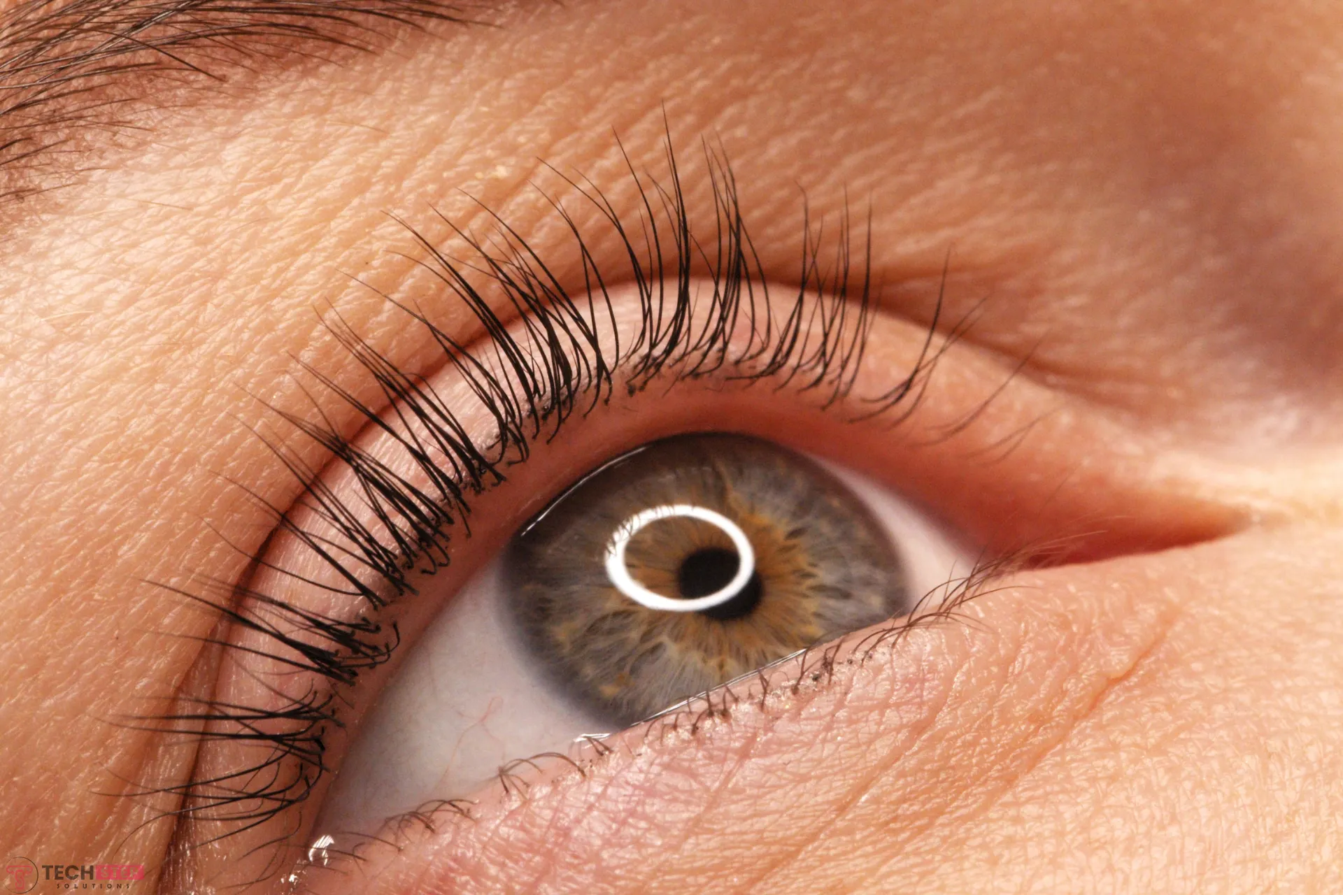 beautiful lash