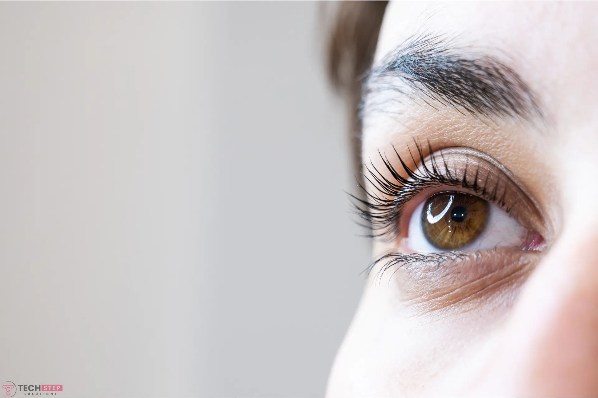 lash lift and tint stafford tx